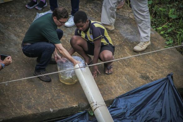 prefeitura e csn promovem soltura de peixes no rio paraíba do sul em volta redonda adruiana cópio secom13