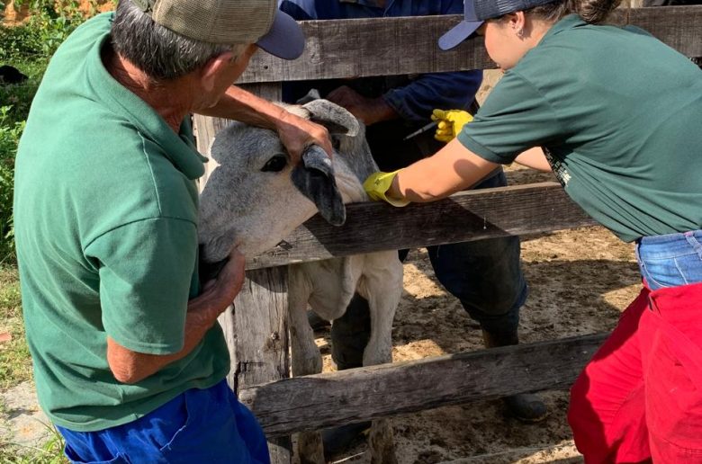 whatsapp image 2026 03 02 at 09.35.31