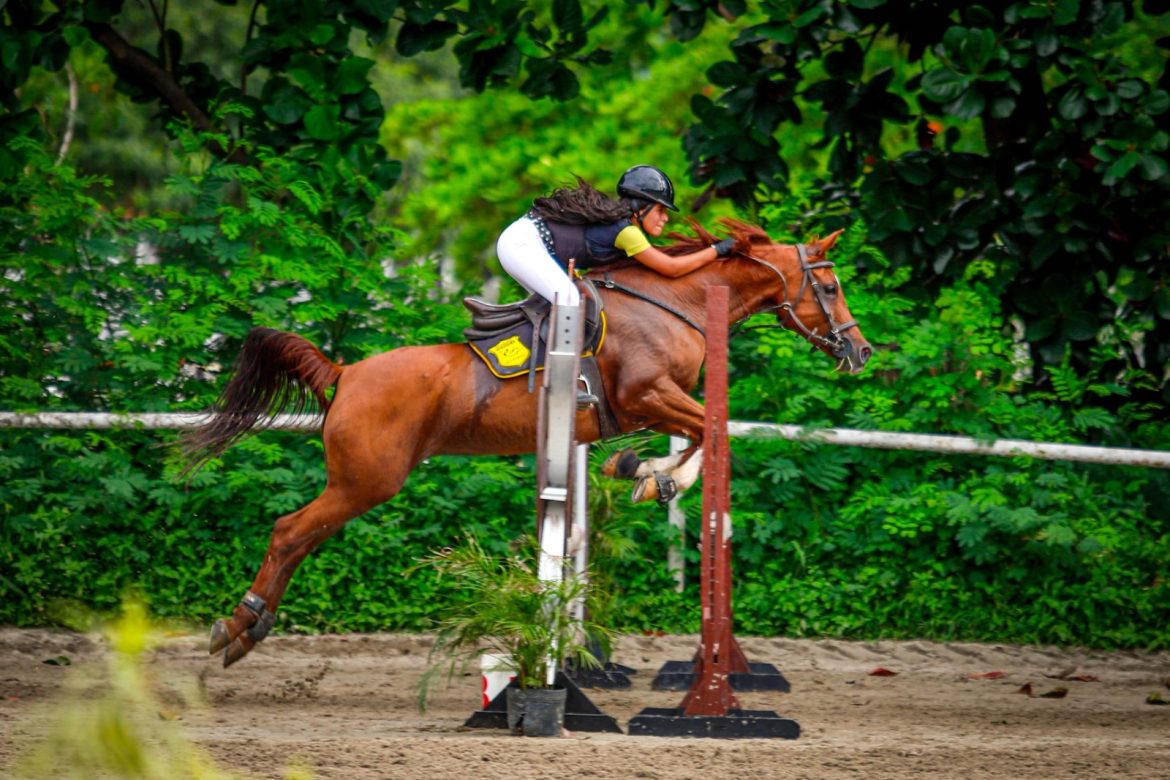 whatsapp image 2026 03 02 at 11.35.32