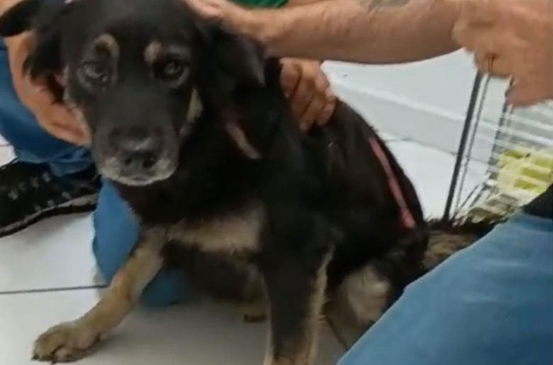 whatsapp image 2026 03 03 at 11.52.05