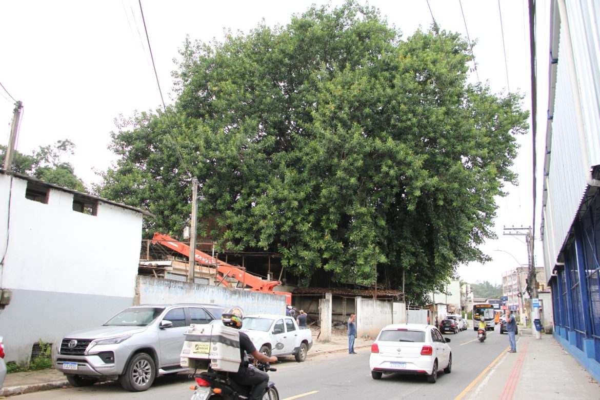 whatsapp image 2026 03 09 at 15.06.49