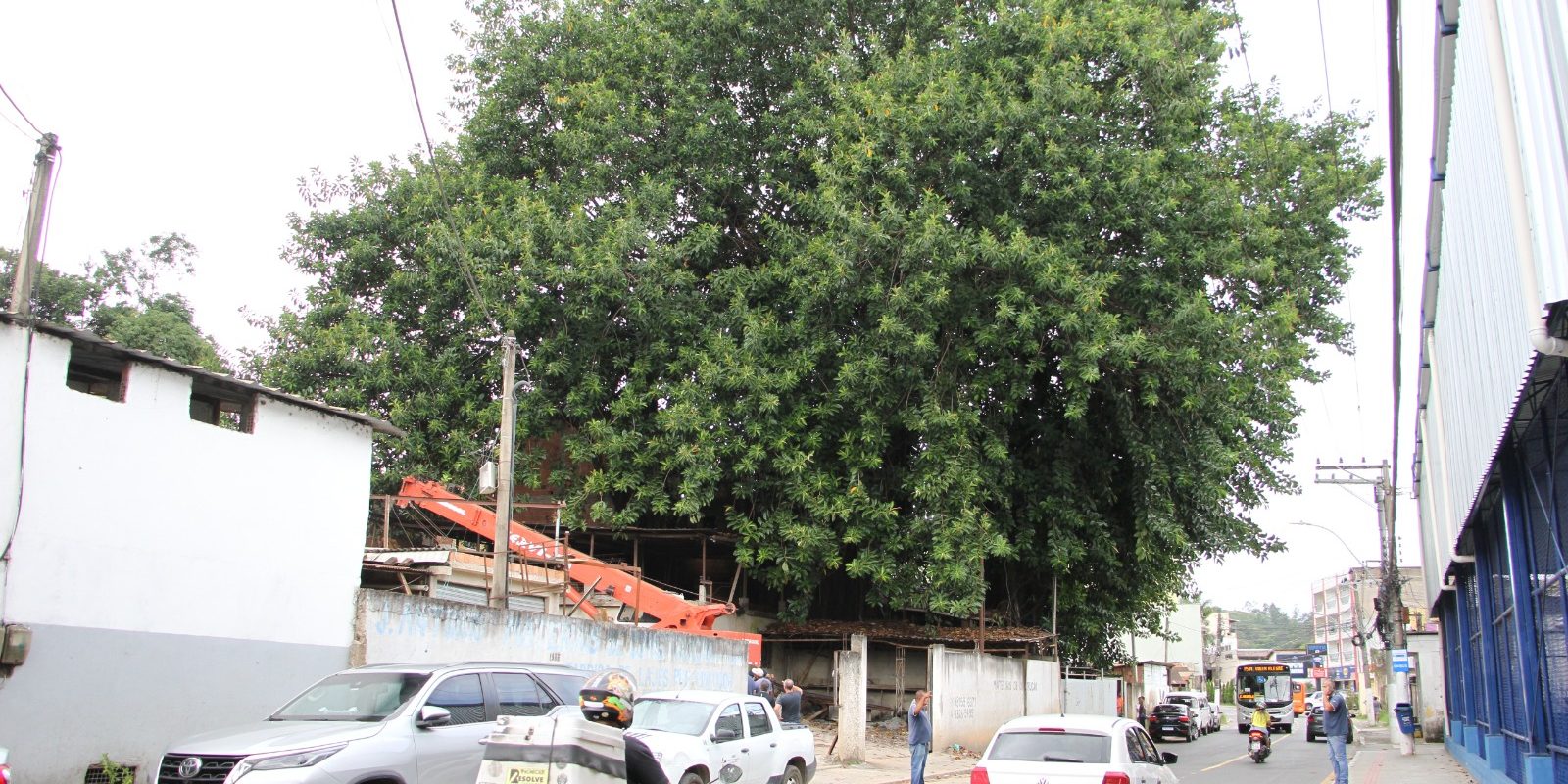 whatsapp image 2026 03 09 at 15.06.49