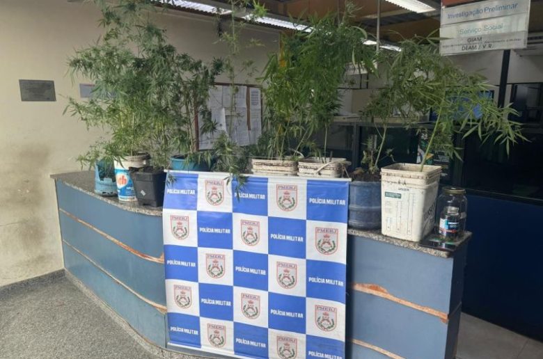 whatsapp image 2026 03 13 at 15.33.53