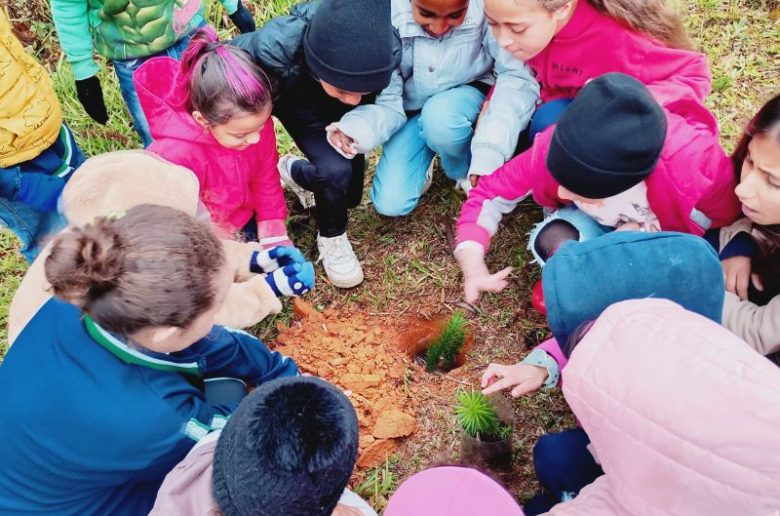 whatsapp image 2026 03 16 at 14.50.47