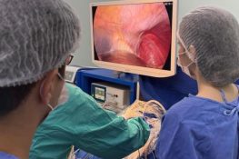 whatsapp image 2026 03 16 at 14.58.32