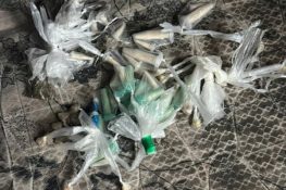 whatsapp image 2026 03 19 at 18.10.08