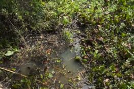 whatsapp image 2026 03 30 at 16.56.19